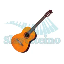 Quality C40 Classical Guitar in Washington